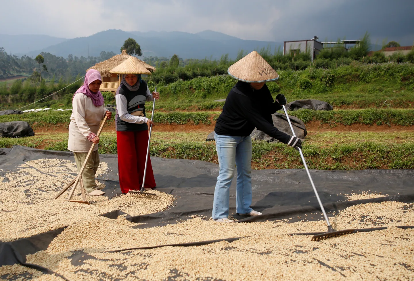 Indonesia dan Korea Selatan sepakat dorong pemasaran kopi melalui pusat distribusi di Goyang