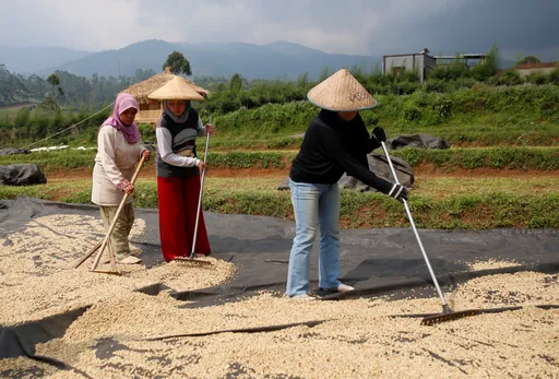 Indonesia dan Korea Selatan sepakat dorong pemasaran kopi melalui pusat distribusi di Goyang
