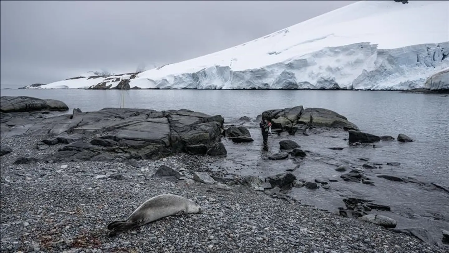 Në Norvegji është zbuluar një zonë gjuetie e vjetër 1.500-vjeçare