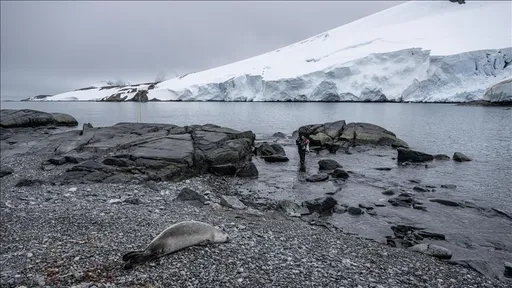 Në Norvegji është zbuluar një zonë gjuetie e vjetër 1.500-vjeçare
