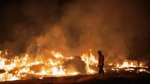 Судан го осудува „меѓународниот молк“ за злосторствата на РСФ во Ел-Фашер и Бара