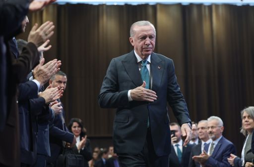 Türkiye now among world’s top four countries in afforestation on path to net zero: Erdogan – TRT World