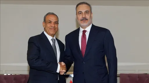 Турция и Египет укрепляют диалог по региональной безопасности