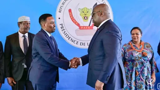 DRC president receives Somali ambassador's posting letter
