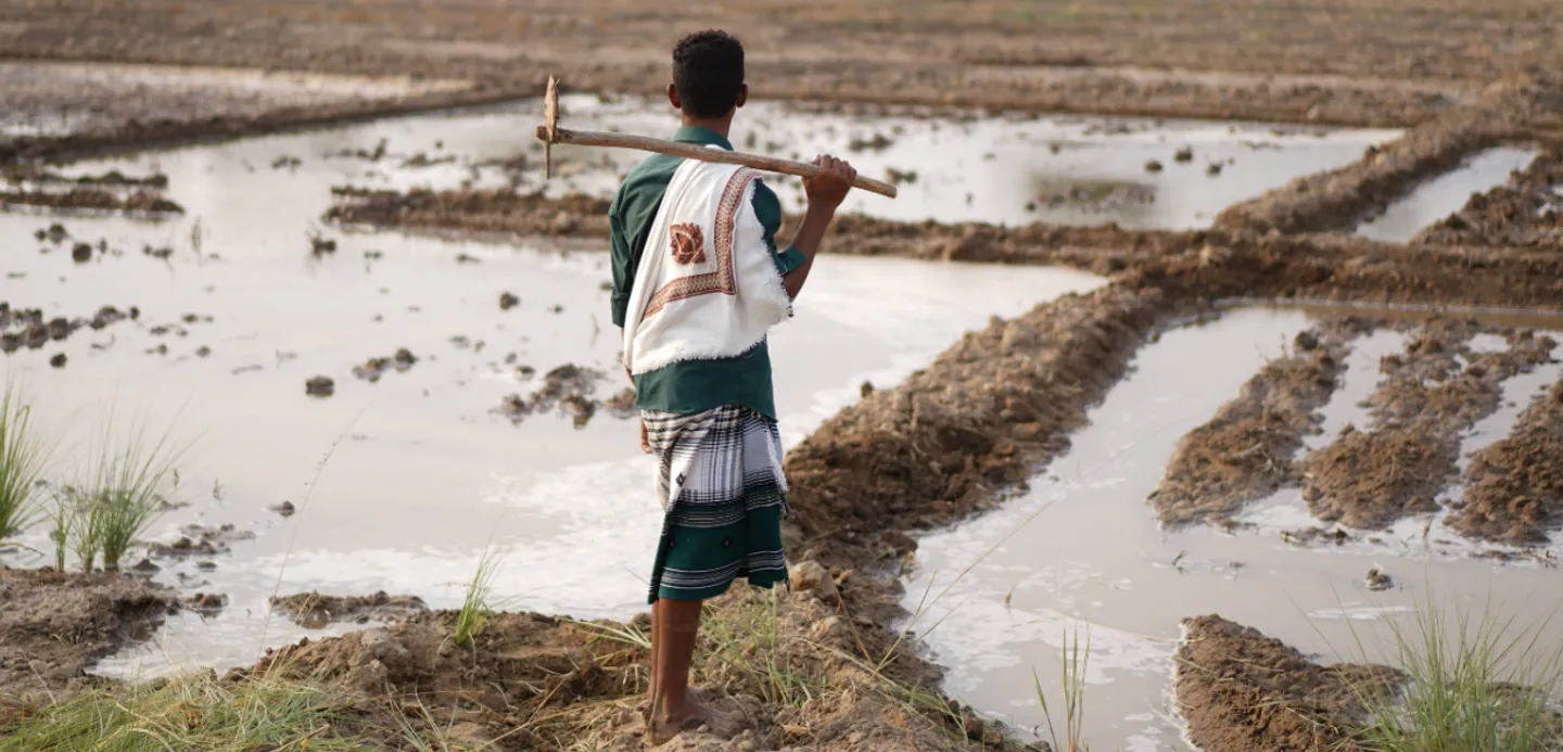 Land degradation: Ethiopia and Senegal find pathways to survival