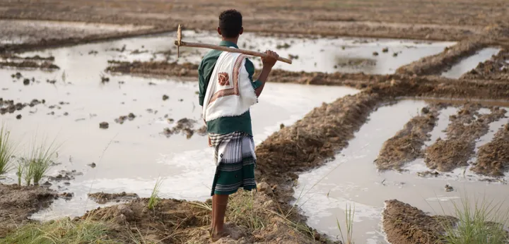 Land degradation: Ethiopia and Senegal find pathways to survival