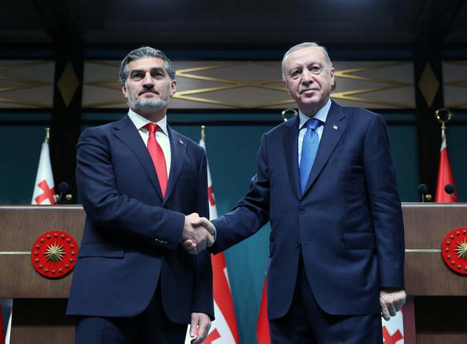 Predsjednici Turkiye i Gruzije razgovarali o istrazi o padu turskog vojnog aviona