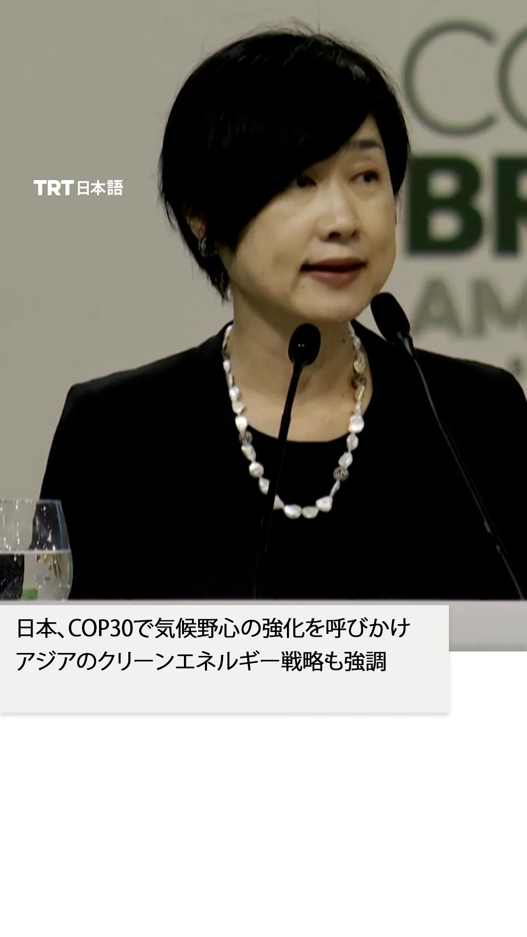 日本、COP30で気候野心の強化を呼びかけ
アジアのクリーンエネルギー戦略も強調