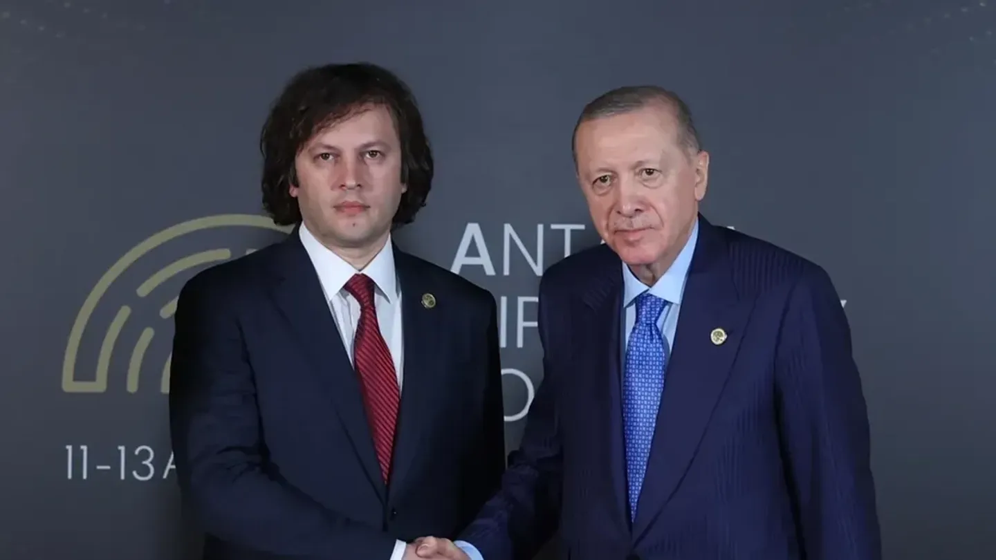 Ердоған мен Кобахидзе түрік әскери ұшағының апатынан кейін телефонда сөйлесті