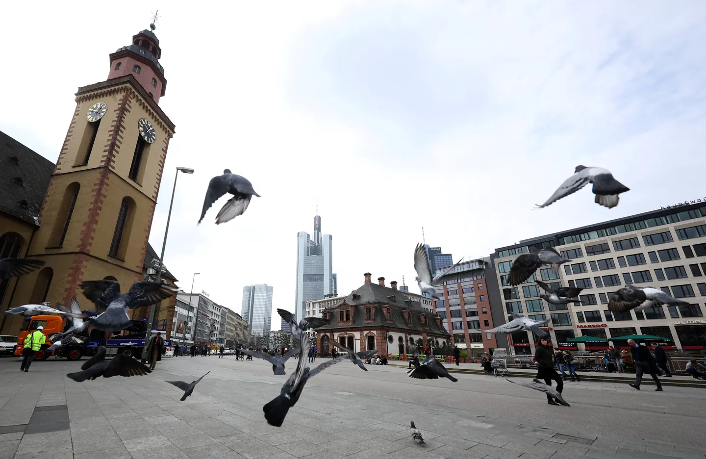 Wild polio found in Hamburg sewage sample: health officials