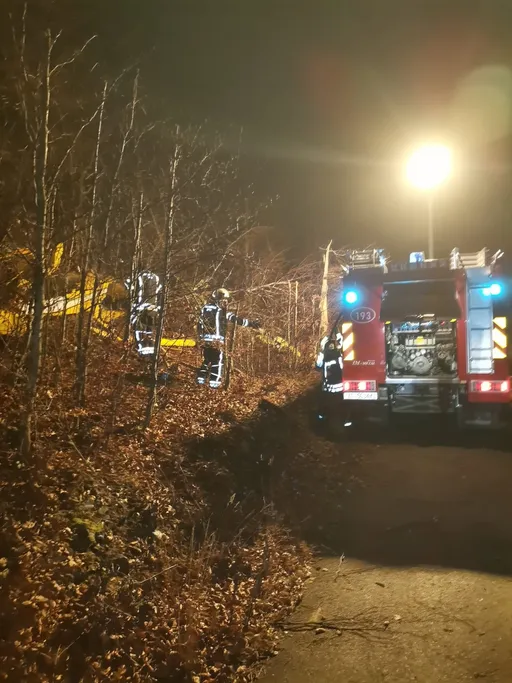 Hrvatska uputila poruku sućuti Turkiye nakon pogibije pilota u padu turskog vatrogasnog aviona