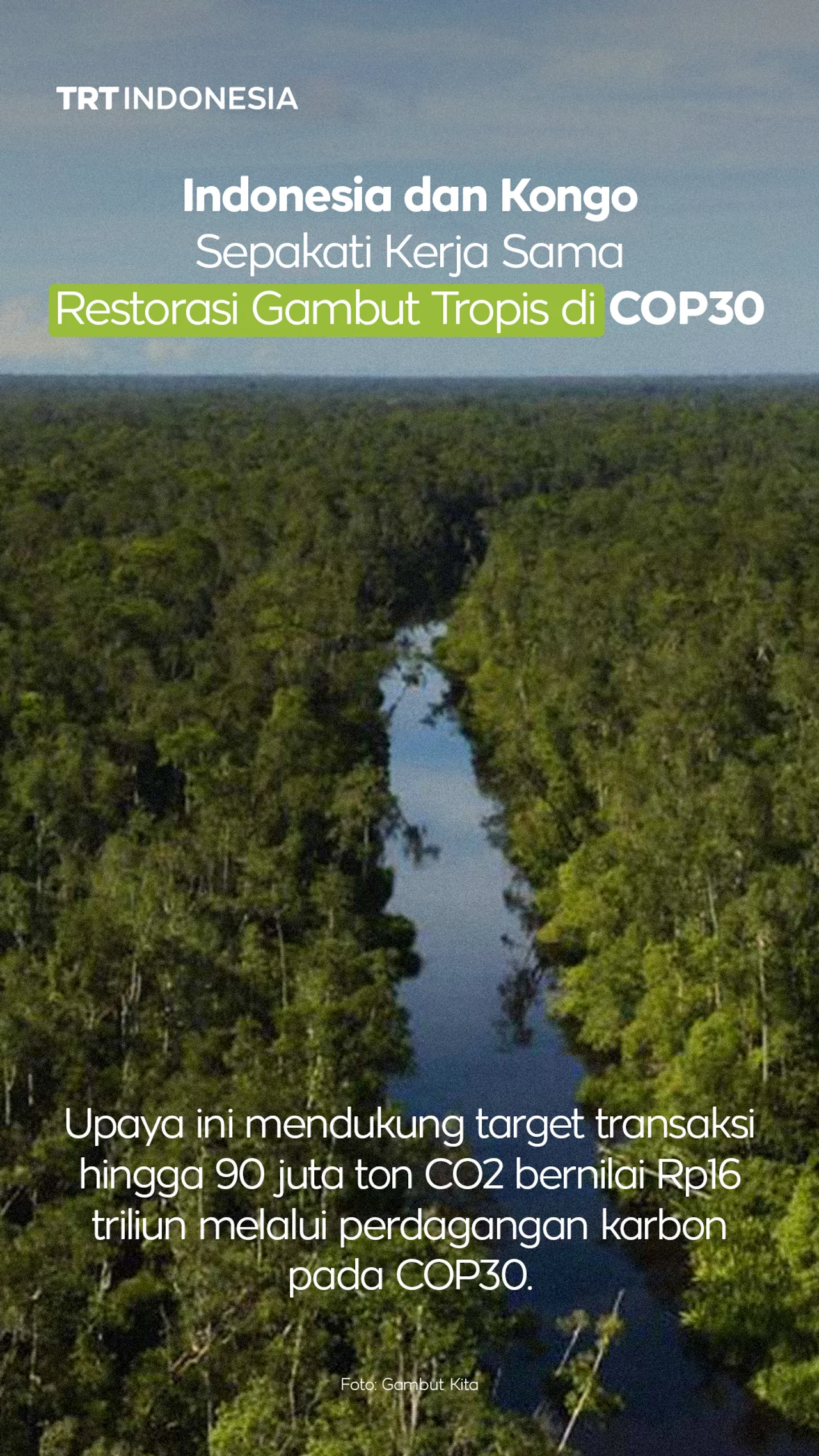 Indonesia dan Kongo sepakati kerja sama restorasi gambut tropis di COP30