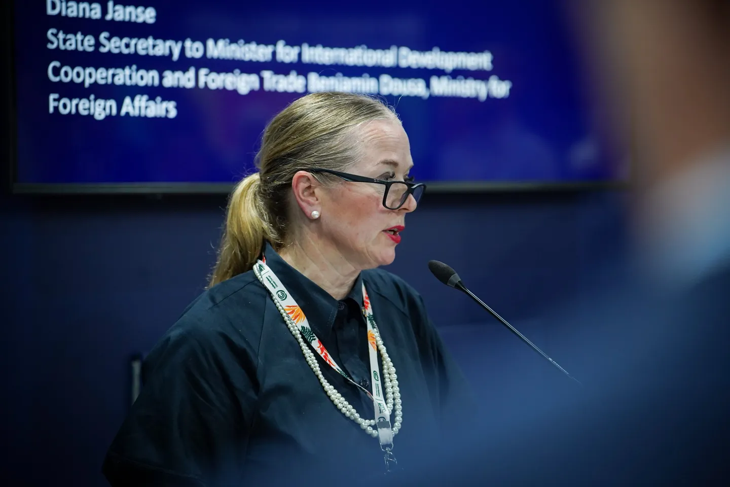 Indonesia–Swedia tingkatkan kolaborasi iklim lewat mekanisme kredit karbon