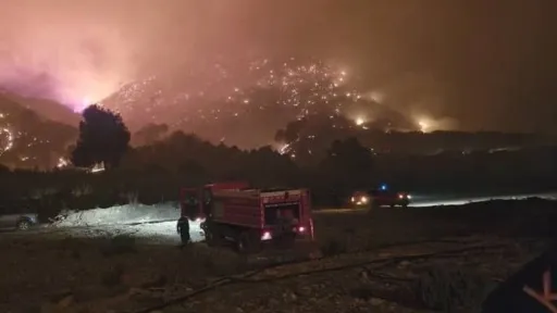 الجزائر.. حرائق غابات واسعة في 8 محافظات وعمليات إجلاء وسط موجة حر وجفاف
