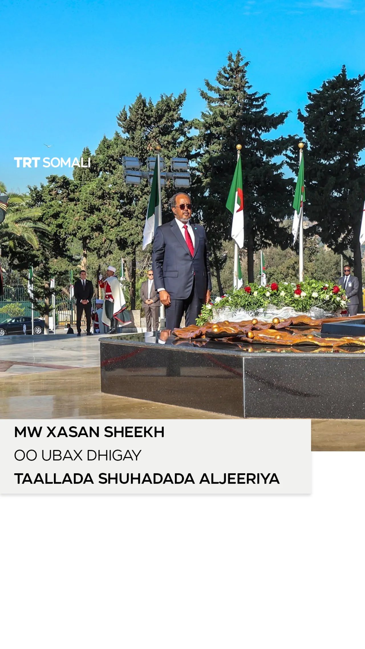 MW Xasan Sheekh oo ubax dhigay Taallada Shuhadada Aljeeriya
