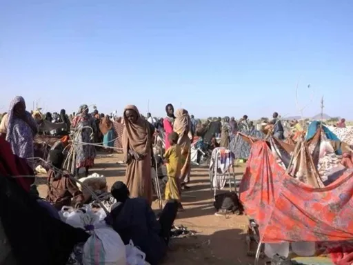 Metade do Sudão necessita agora de ajuda, à medida que o conflito se aprofunda, alerta chefe da ONG