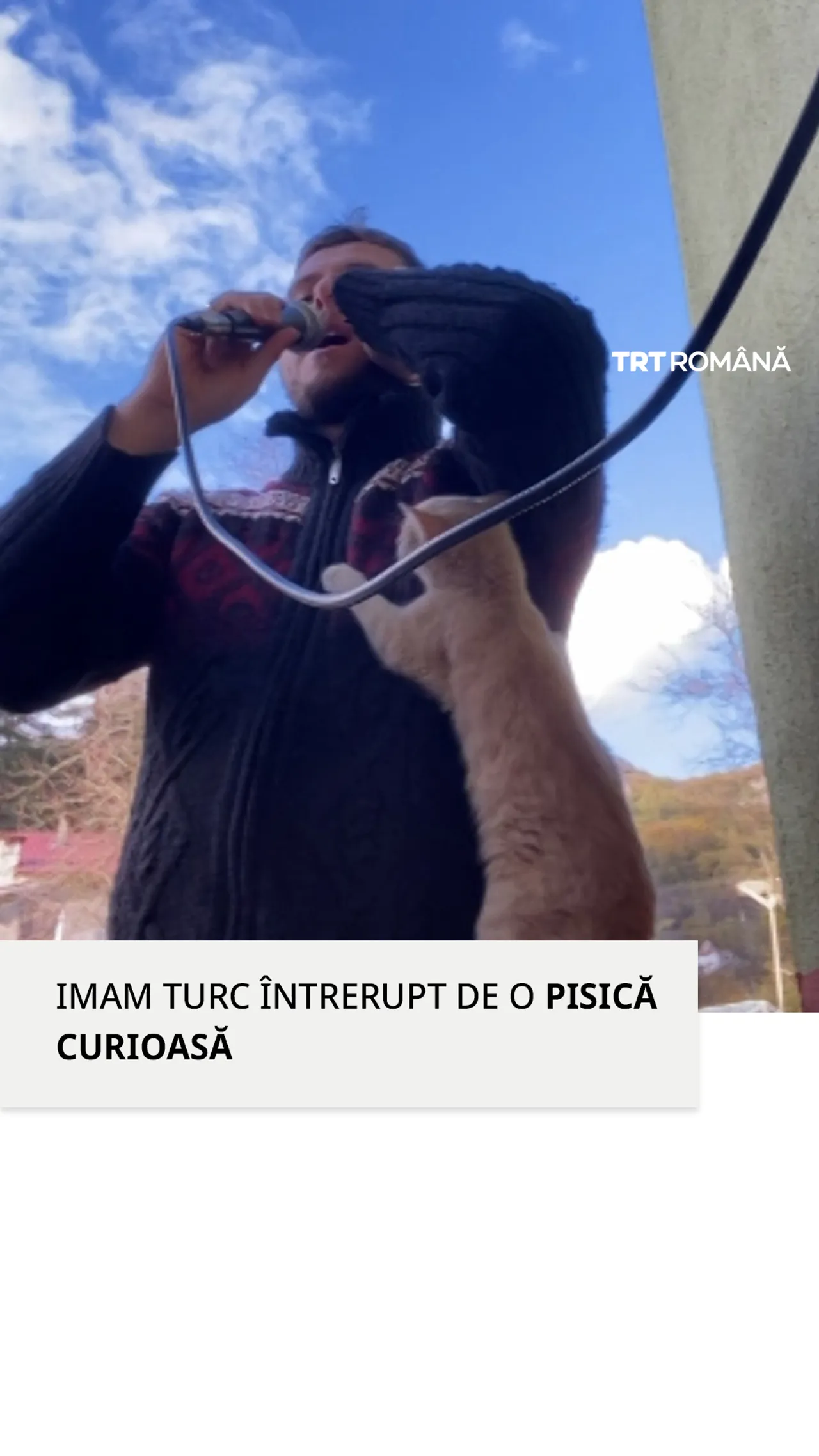 O pisică curioasă s-a alăturat unui imam turc în timpul chemării la rugăciune