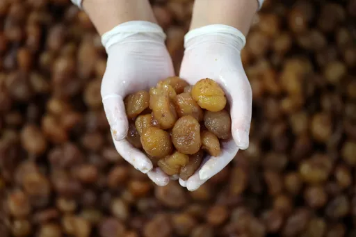 Türkiye’s Bursa candied chestnuts, Ipsala rice receive EU geographical indication status