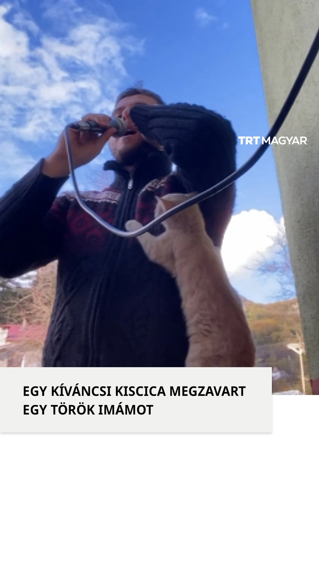Egy kíváncsi kiscica úgy döntött, besegít egy török imámnak az adzán közben