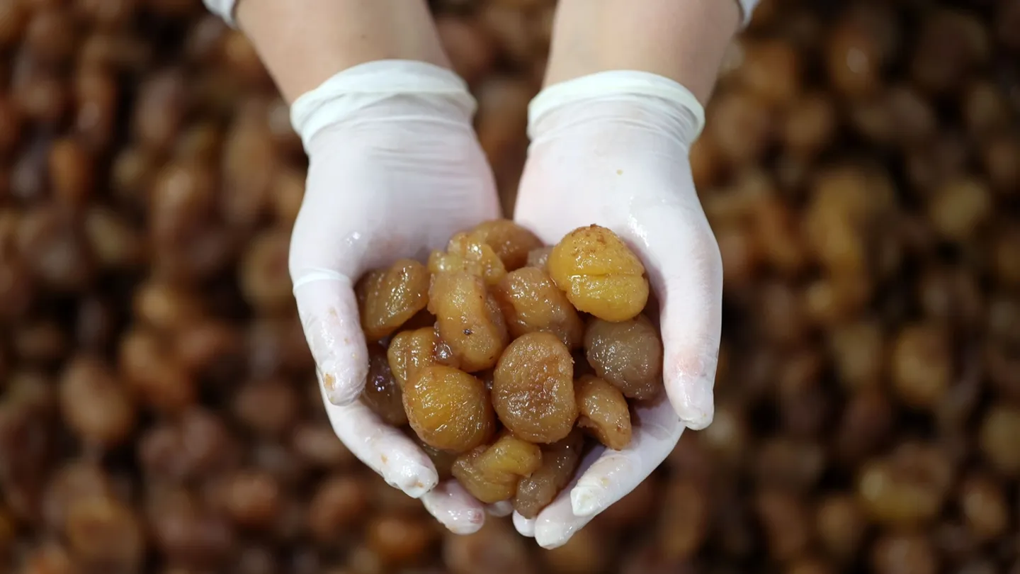 Bursa şabalıd şirniyyatı və İpsala düyüsü Aİ-dən coğrafi göstərici statusu aldı