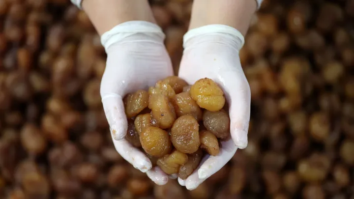 Bursa şabalıd şirniyyatı və İpsala düyüsü Aİ-dən coğrafi göstərici statusu aldı