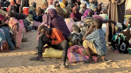 More than 100,000 people displaced from Sudan's Al Fasher since RSF takeover