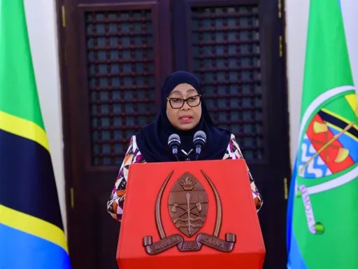 Rais Samia amteua waziri mpya wa fedha, awaacha mawaziri wa mambo ya nje na madini madarakani