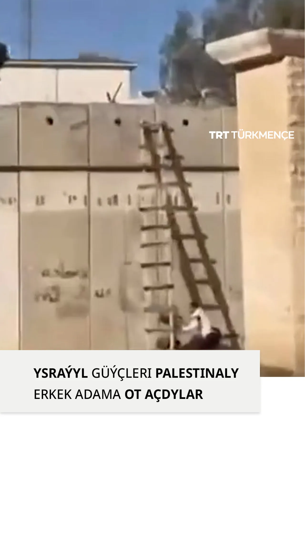 YSRAÝYL GÜÝÇLERI PALESTINALY ERKEK ADAMA OT AÇDYLAR