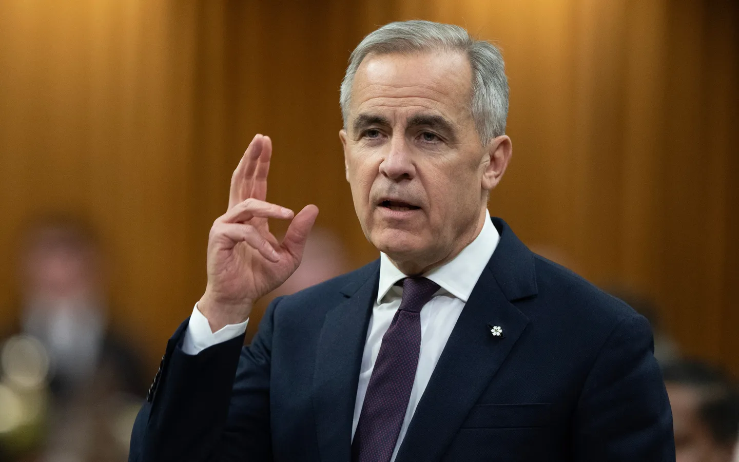 Canadian PM Mark Carney’s government survives budget vote, sparing early election