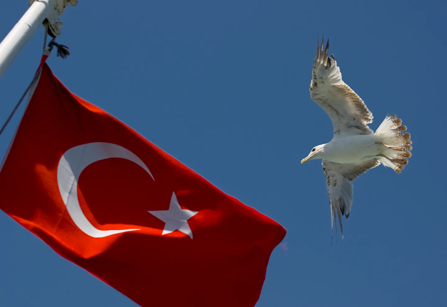 Türkiye renames 'Central Asia' as 'Turkistan' in school curriculum