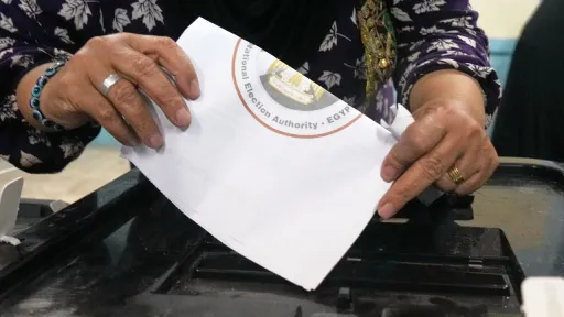 Egypt annuls first-round parliament vote in quarter of constituencies over 'violations'