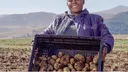 How the humble potato harvests hope in Lesotho's hinterland
