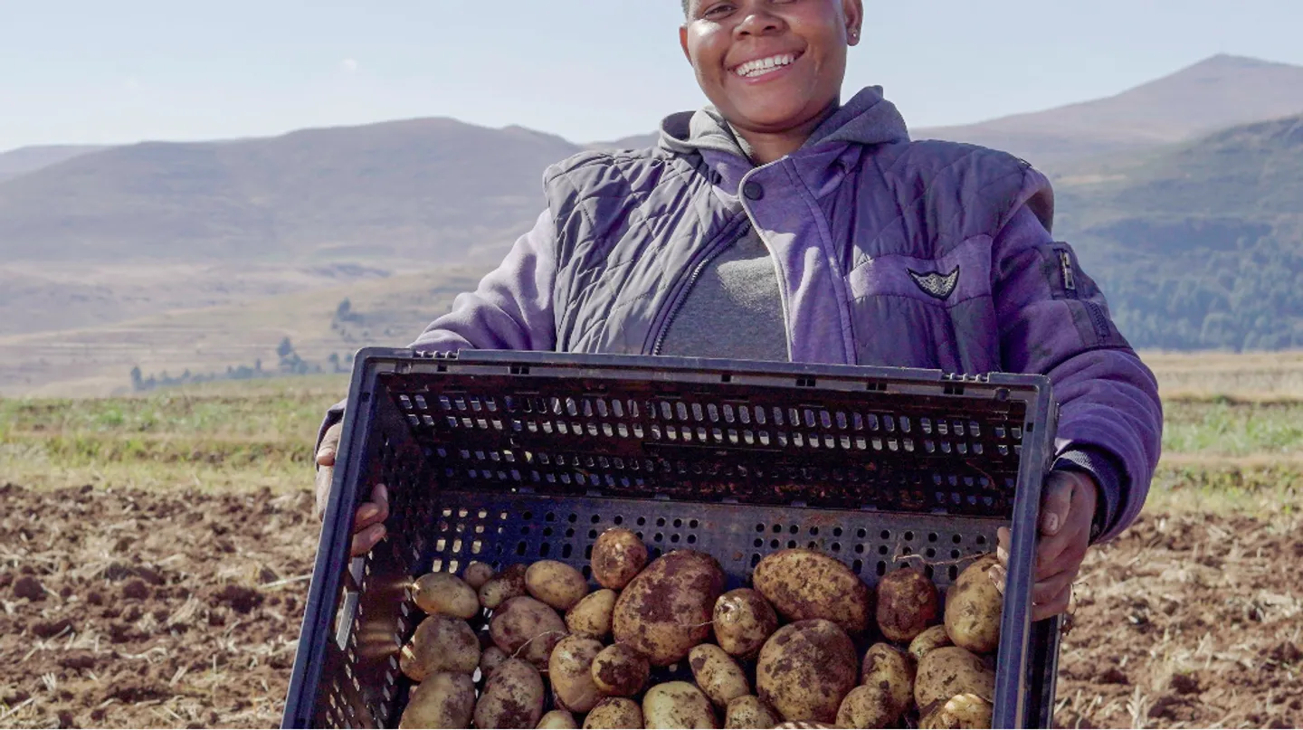 How the humble potato harvests hope in Lesotho's hinterland