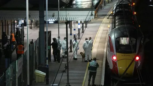 Nine suffer 'life-threatening injuries' in UK train stabbing: police