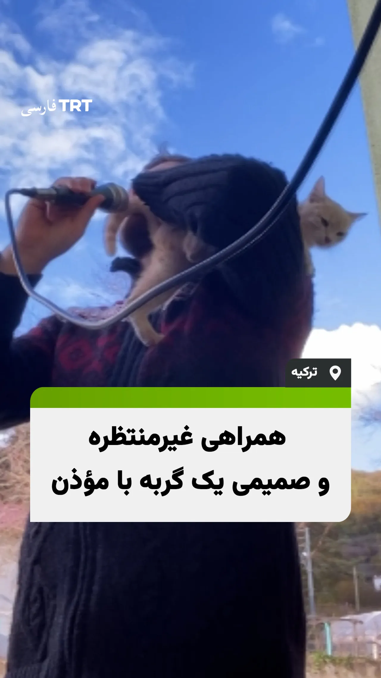 همراهی غیرمنتظره و صمیمی یک گربه با مؤذن در ترکیه