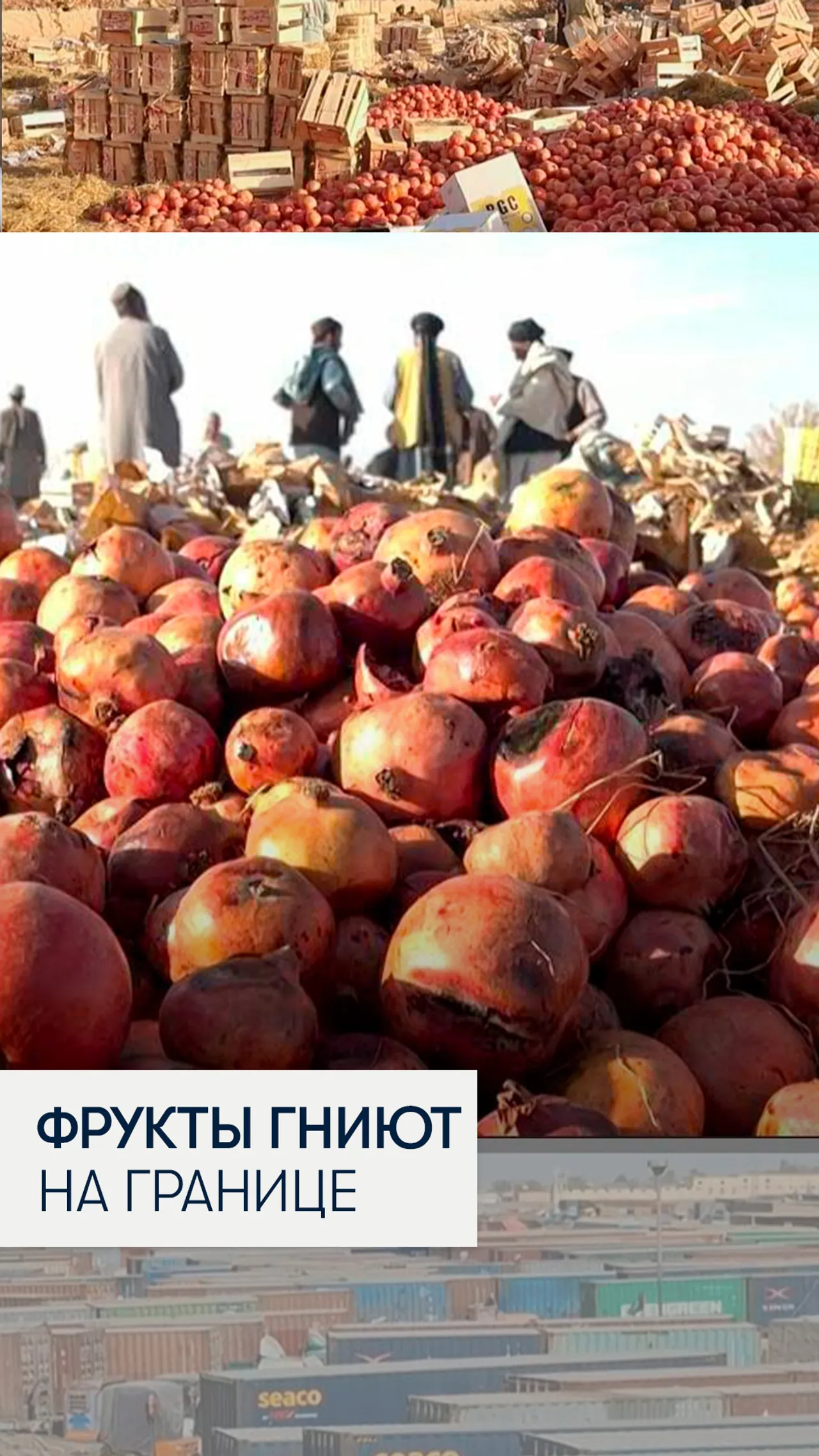 Афганистан ищет новые торговые маршруты после закрытия границы с Пакистаном