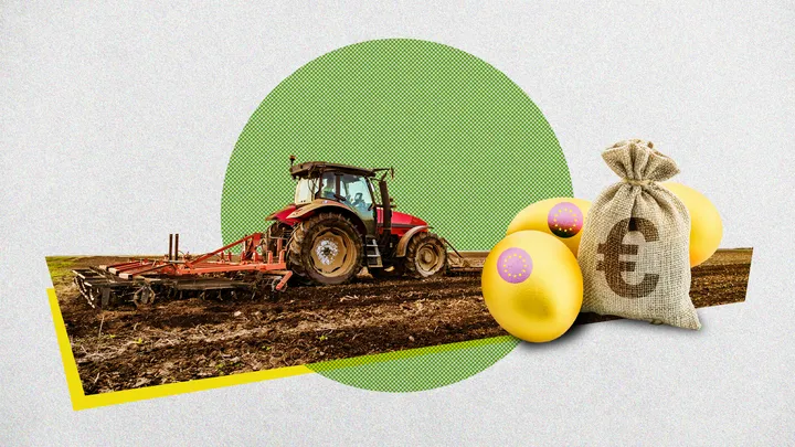 Аграрните субвенции од ЕУ златна кокошка на корупцијата