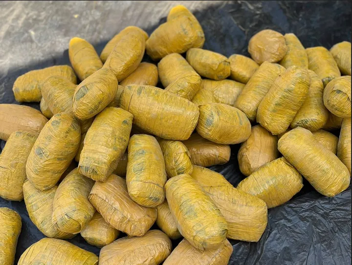 Hukumar NDLEA ta kama mutum 230 a samame daban-daban a Kano