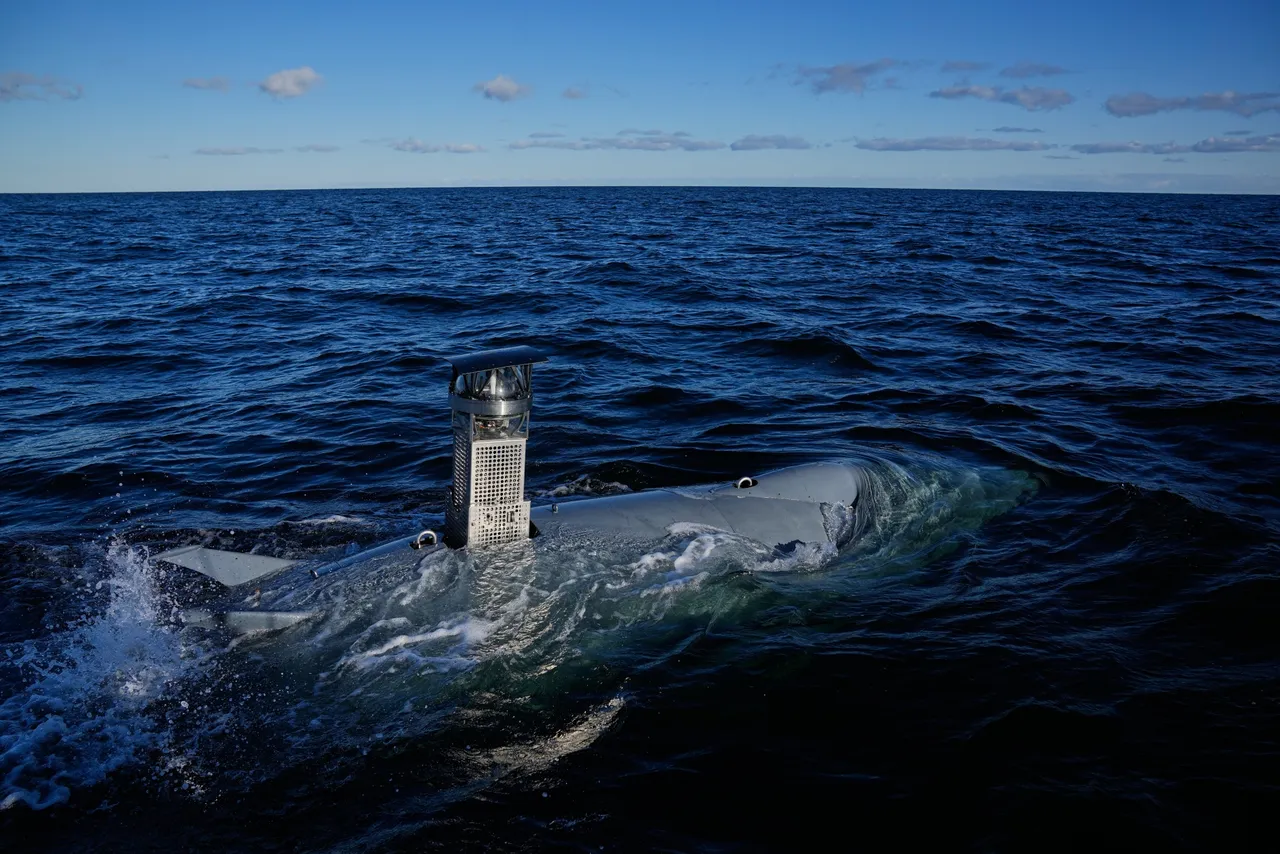 Sytuacja na Bałtyku: Szwedzka marynarka o zwiększeniu obecności Rosji