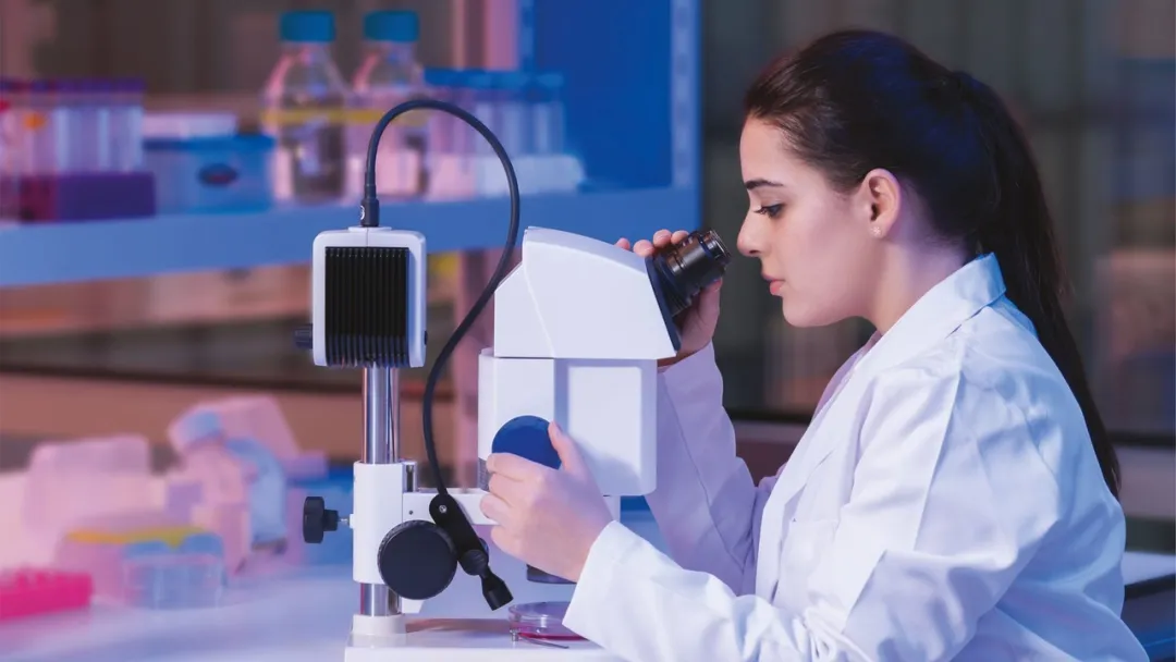 شش دانشگاه ترکیه در میان صد مرکز برتر جهان در پژوهش‌های میان‌رشته‌ای قرار گرفتند