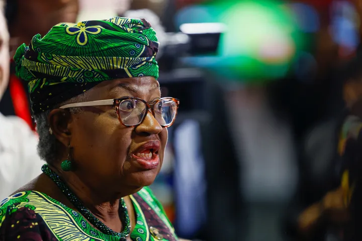 Global trade chiefs convene in Cameroon as geopolitical tensions mount