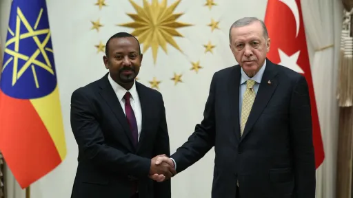 Turkish, Ethiopian leaders discuss bilateral ties, regional issues on G20 sidelines
