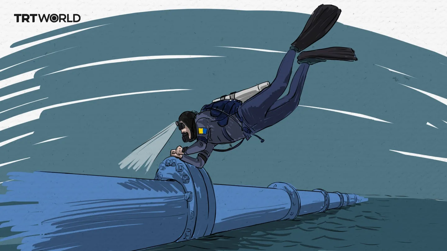 Will Zelenskyy own Ukrainian soldier who blew up Nord Stream? The defence lawyer hopes so