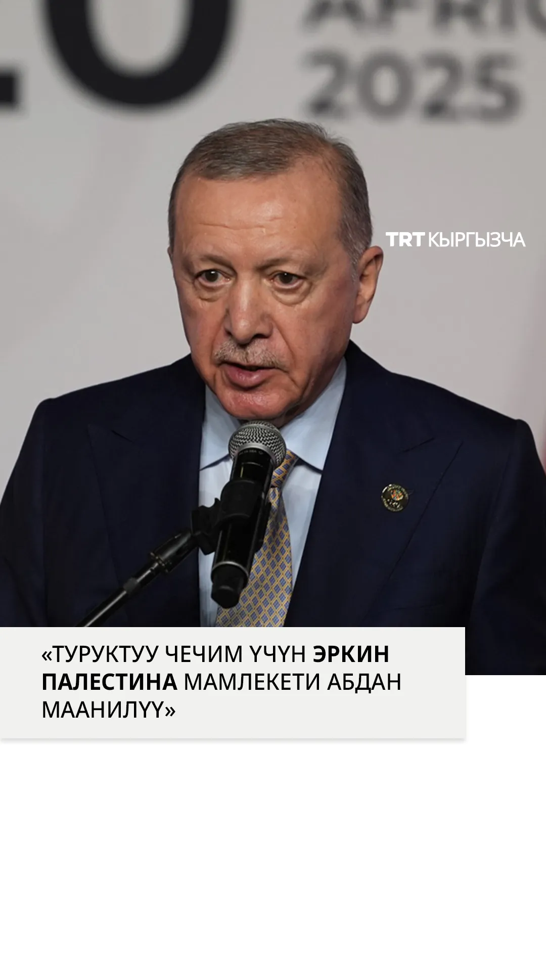 Эрдоган: «Эркин Палестина мамлекетин түзбөстөн, дүйнөлүк тынчтыкка жетүү мүмкүн эмес»