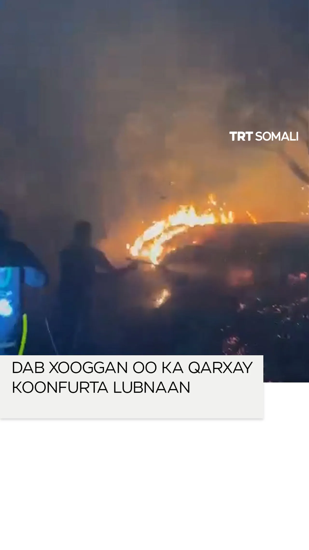 Dab Xooggan oo ka Qarxay Koonfurta Lubnaan