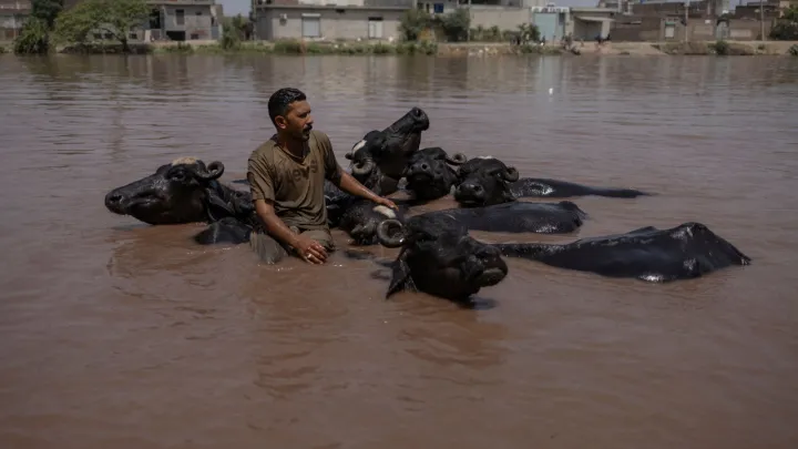 Könyaq Aziyane qızular häm su basular kötä