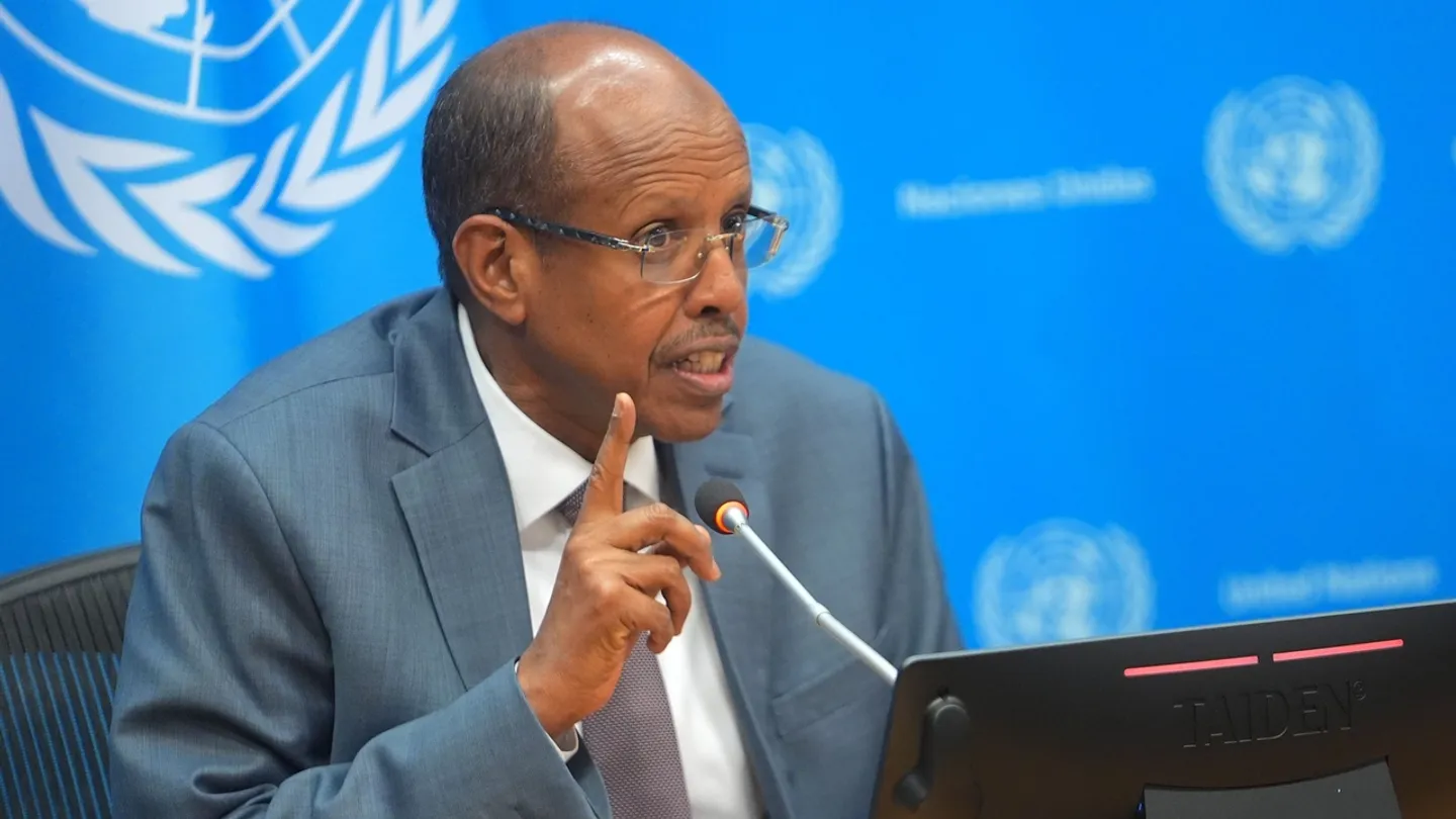 Africa role as 'raw material supplier will come to an end soon,' AU chief says amid UN reform calls