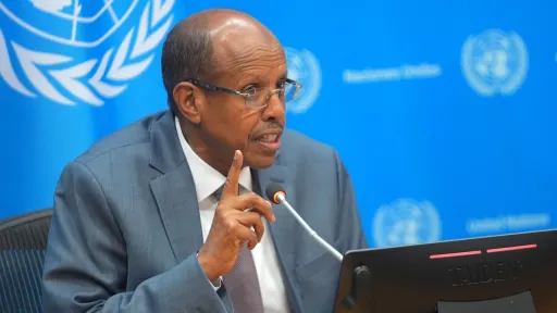 Africa role as 'raw material supplier will come to an end soon,' AU chief says amid UN reform calls