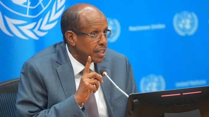 Africa role as 'raw material supplier will come to an end soon,' AU chief says amid UN reform calls