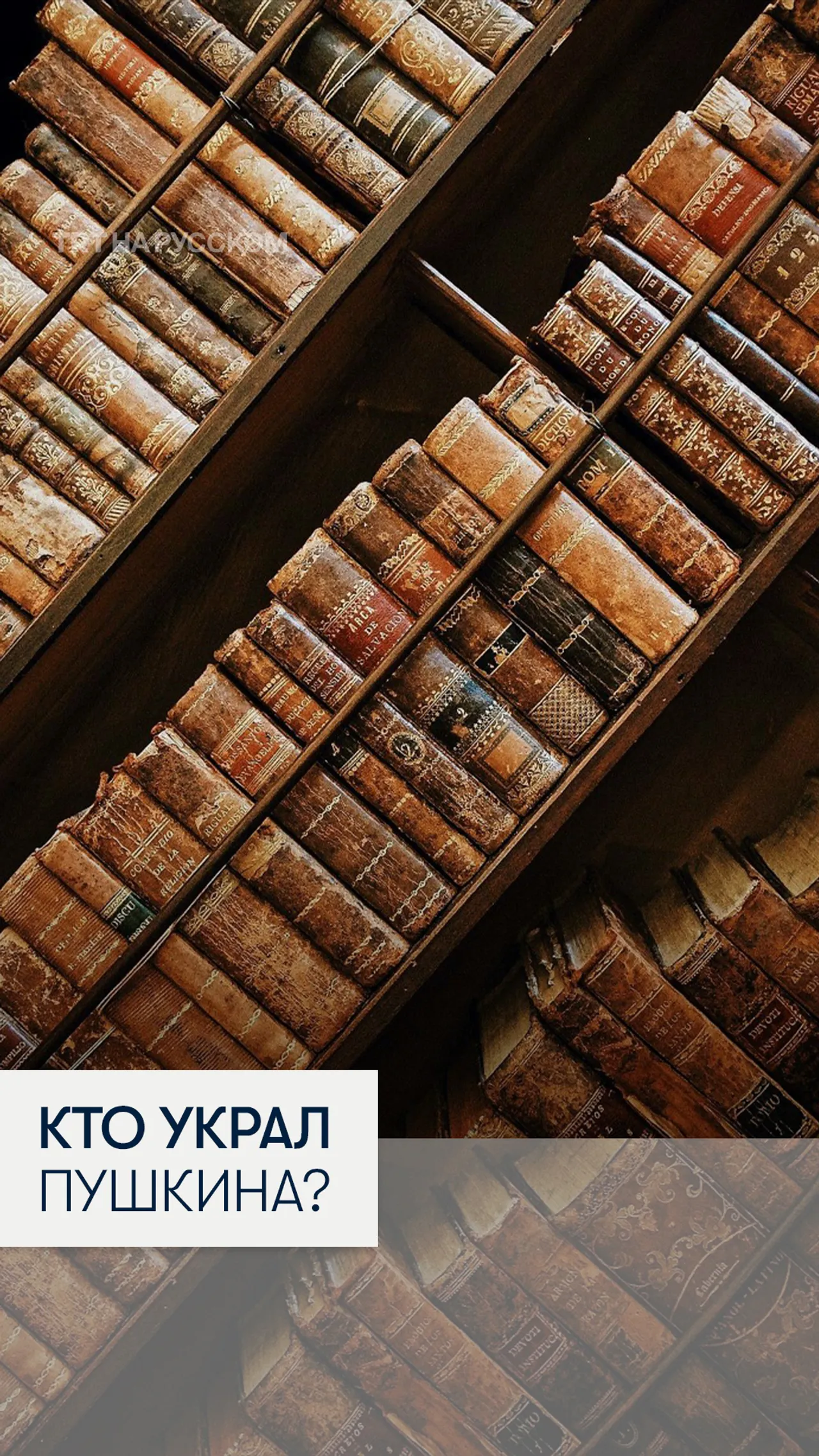 В Европе массово похищают русские книги